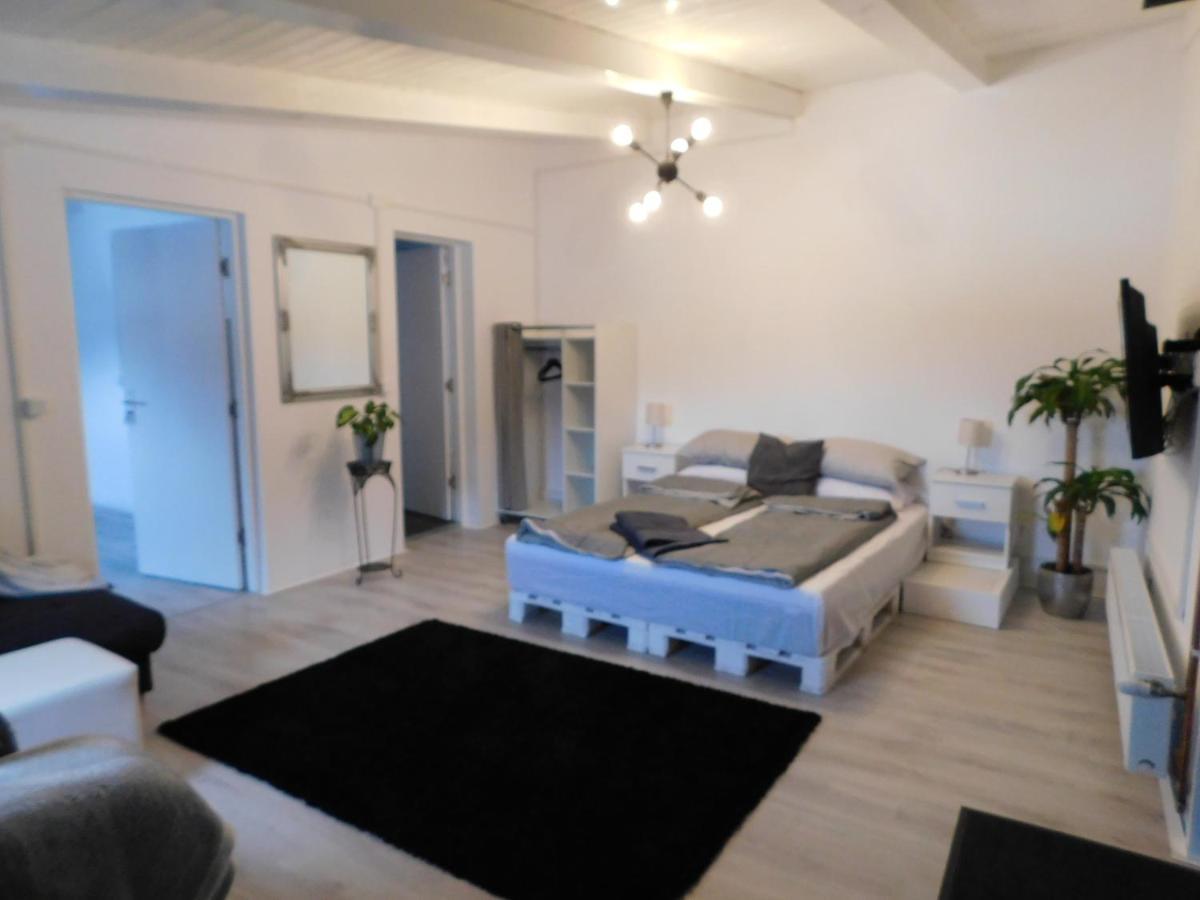 Mountain Vista Suites Zarnesti Ngoại thất bức ảnh