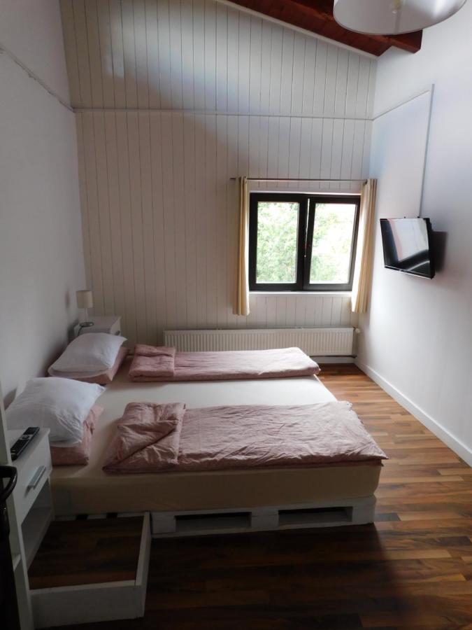 Mountain Vista Suites Zarnesti Ngoại thất bức ảnh