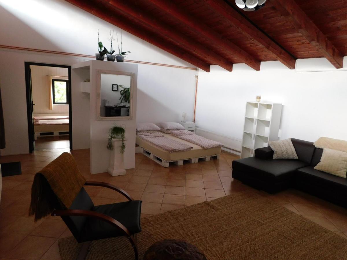 Mountain Vista Suites Zarnesti Ngoại thất bức ảnh